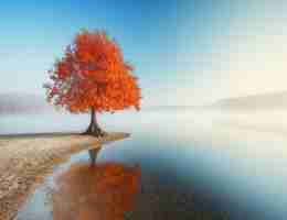 精​准‌智​能‌广‍播​控﻿制​系‌统‌说﻿明﻿书﻿